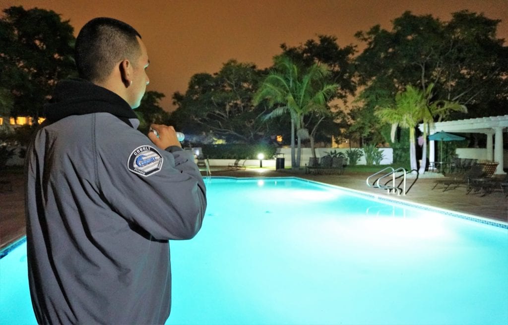 Adolfo 10 private security services – Private Security Services
