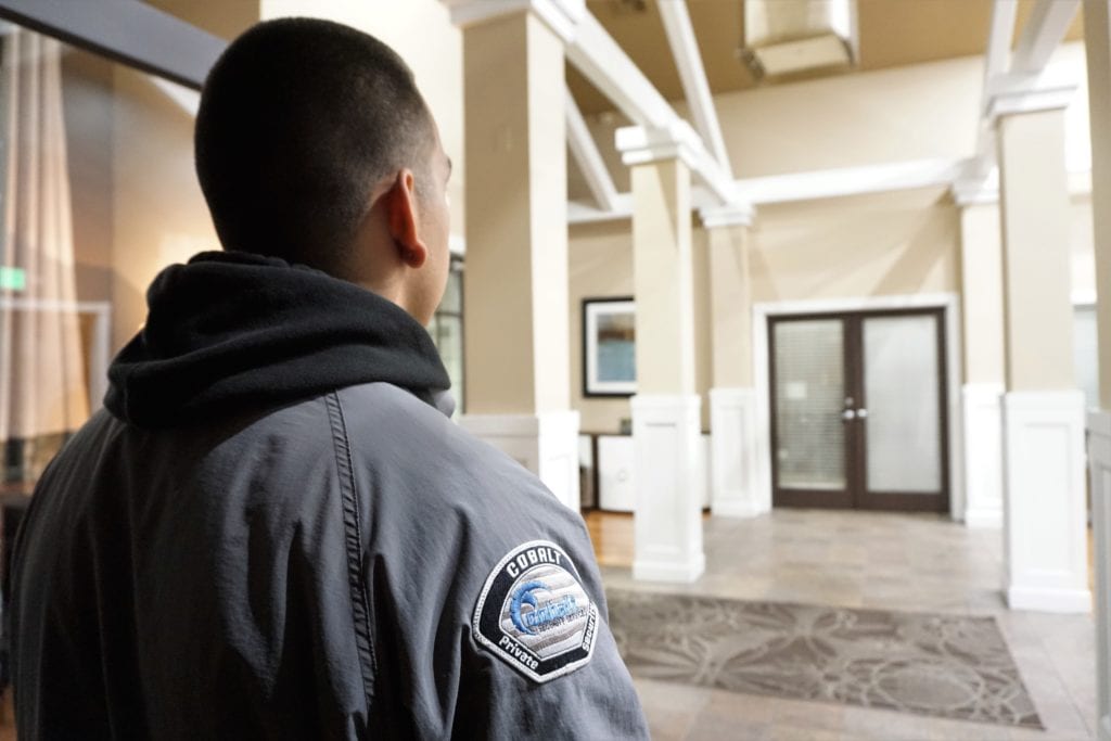 Adolfo 24 shopping center security – Shopping Center & Mall Security